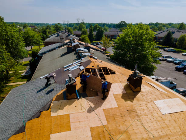 Trusted Emergency Roof Repair service in Oakland, OR - Brentwood Metal Roofing